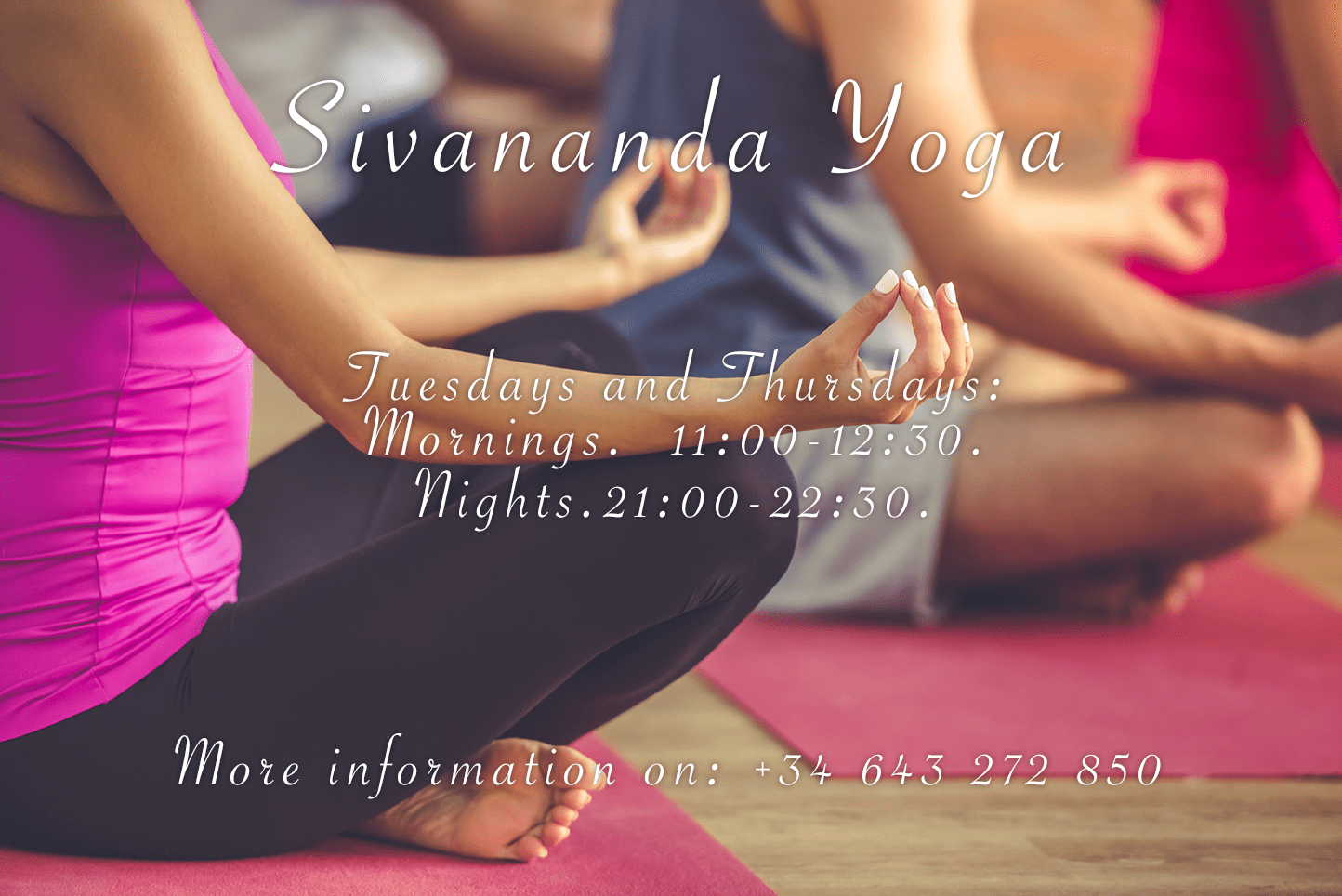 Sivananda Yoga – Cancelled until further notice